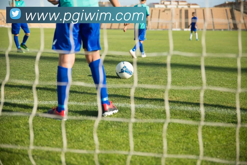 pg电子平台生态图